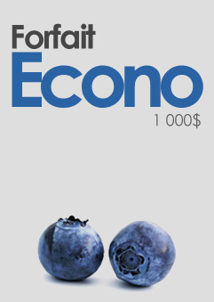Forfait pour la conception d'un site internet &eacute;conomique